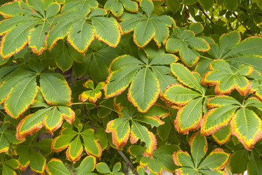 Similar image 308656