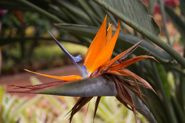 Similar image 308675