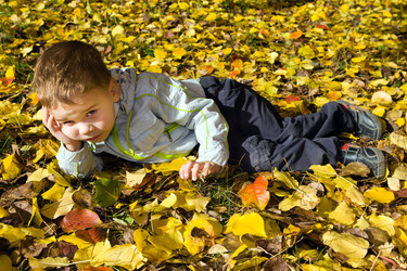 Similar image 308699