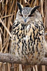 Similar image 308725