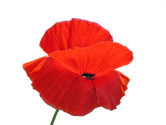 Similar image 308726