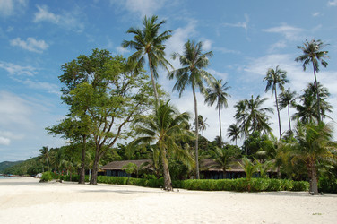 Similar image 308792