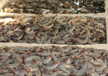 Similar image 308797