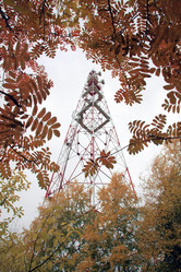 Similar image 308798