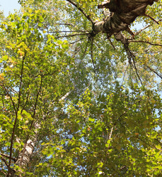 Similar image 308804