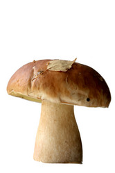 Similar image 308809