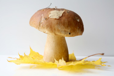 Similar image 308812