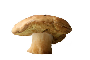 Similar image 308814