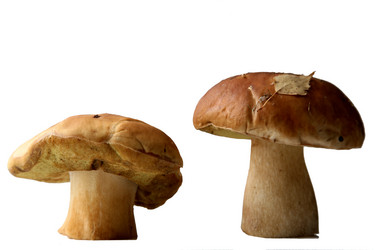 Similar image 308815