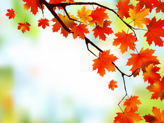 Similar image 308823