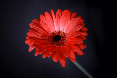 Similar image 308845