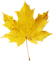 Similar image 308853