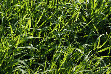 Similar image 308857