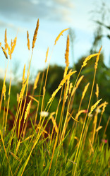 Similar image 308862