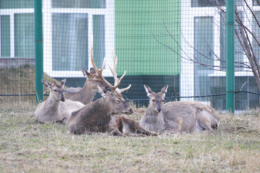 Similar image 308866