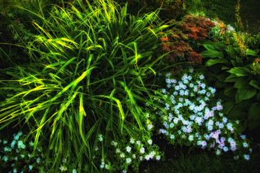 Similar image 308869