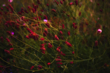 Similar image 308873