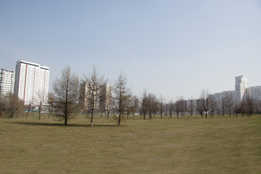 Similar image 308893