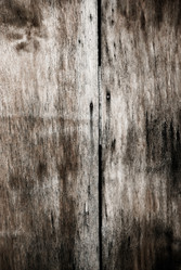 Similar image 308955