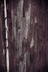 Similar image 308960