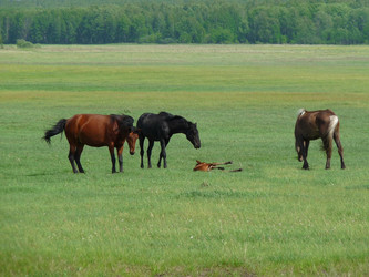 Similar image 308982