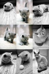 Similar image 308983