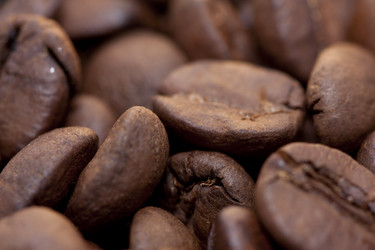 Similar image 308989