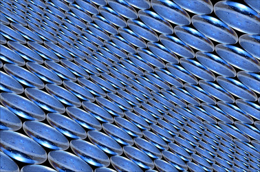 Similar image 309021