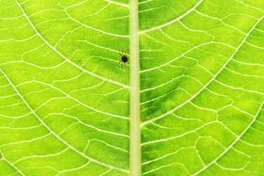 Similar image 309054