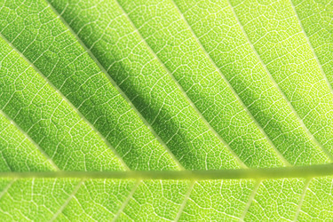 Similar image 309055