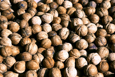 Similar image 309059