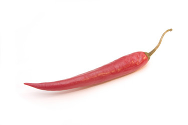 Similar image 309063