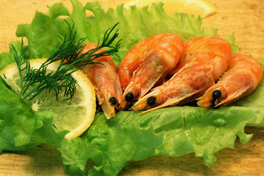 Similar image 309073