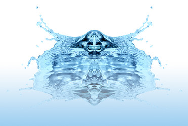 Similar image 309154