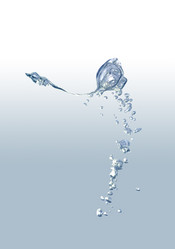 Similar image 309158