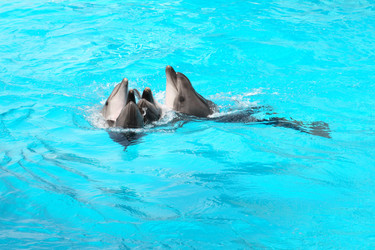 Similar image 309171