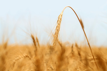 Similar image 309224