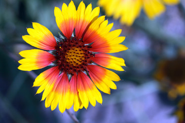 Similar image 309258