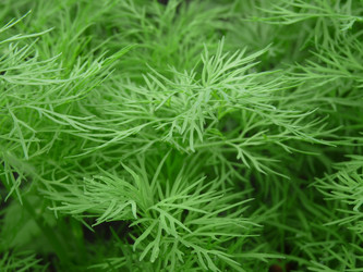 Similar image 309264