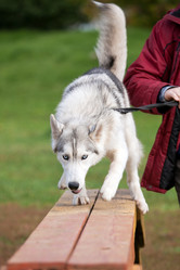 Similar image 309300