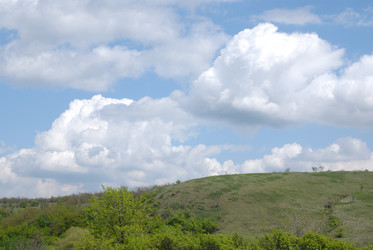 Similar image 309320