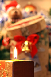 Similar image 309323