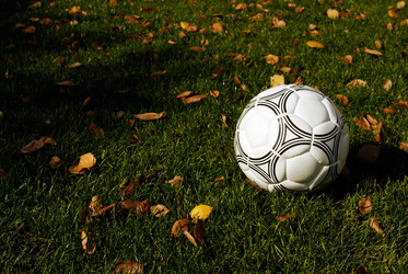 Similar image 309328