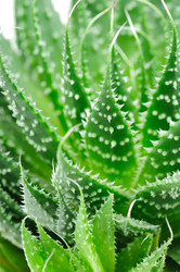 Similar image 309388