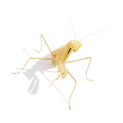 Similar image 309390