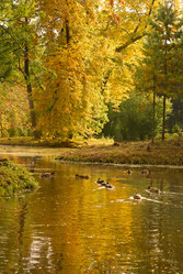 Similar image 309427