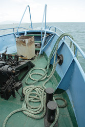 Similar image 309471