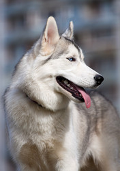 Similar image 309479