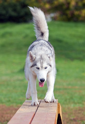 Similar image 309481