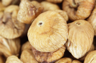 Similar image 309485